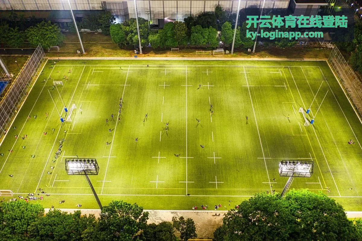 开云体育在线登陆平台界面展示